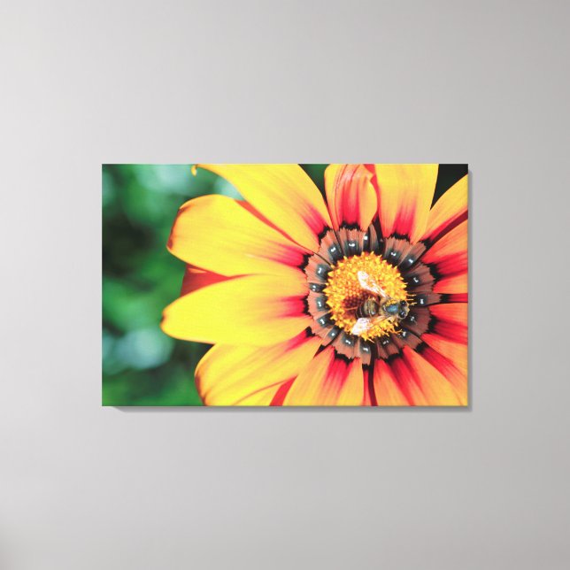 Toile Extrême gros plan d'une abeille collectant du poll (Recto)