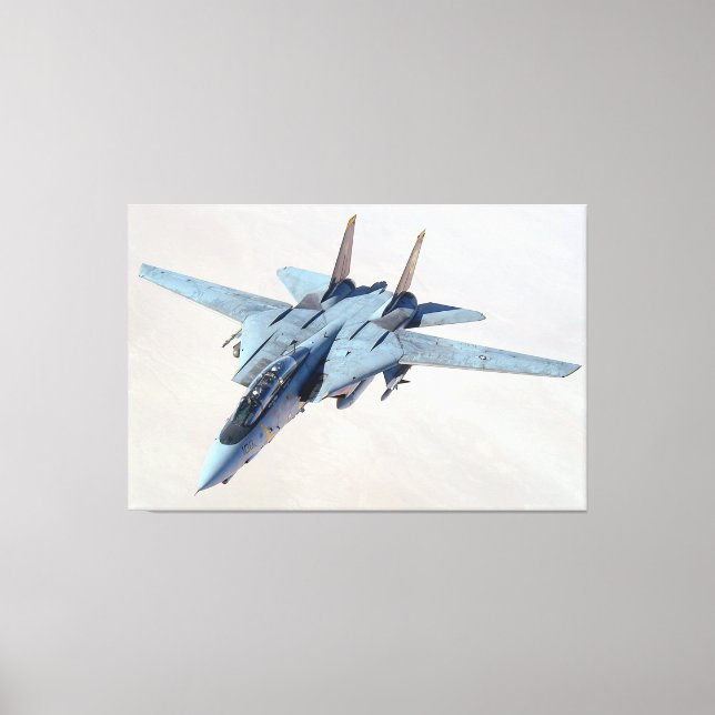 Toile F-14 TOMCAT 40x60 (Recto)