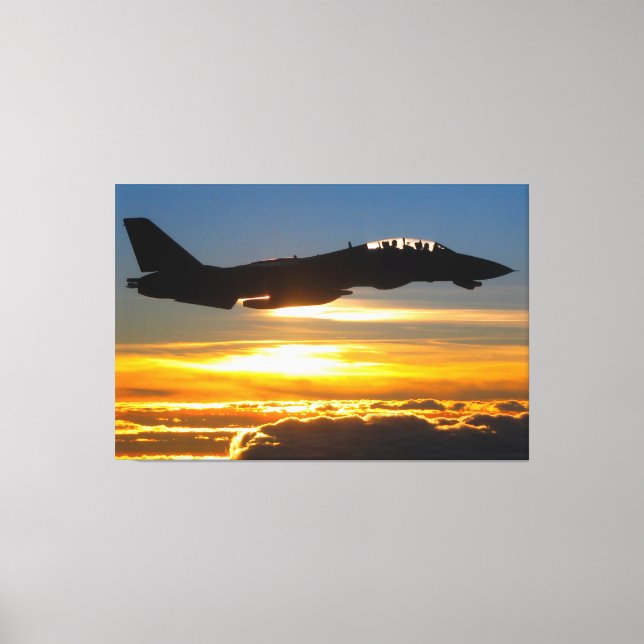 Toile F-14 TOMCAT 40x60 (Recto)
