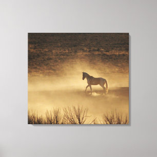 Toile Faire le tour des classements