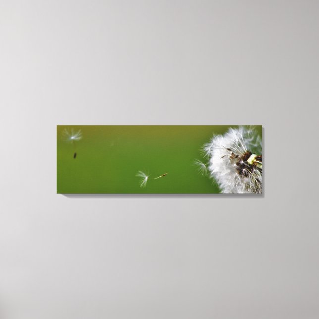 Toile Fais un voeu ! (Recto)
