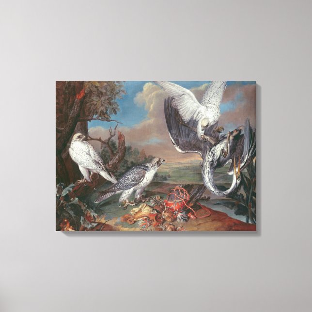 Toile Falcons Cyr du Groenland (Recto)