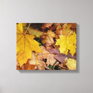 Toile Fallen Maple Feuille Jaune Automne Nature
