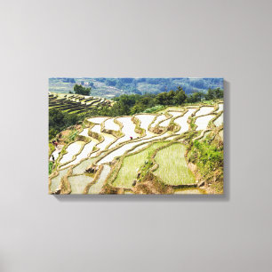 Toile Fameuses rizières en terrasses de Yuanyang - Yunna