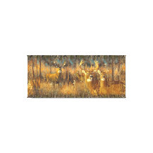 Famille De Cerfs En Automne Matin Soleil