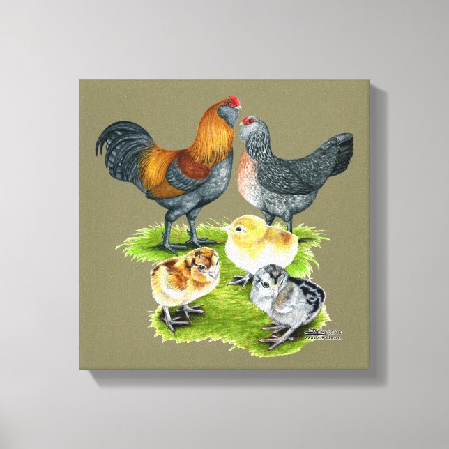 Toile Famille de poules Ameraucana (Recto)