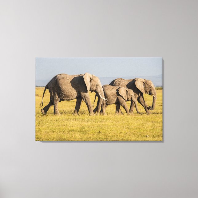 Toile Famille d'éléphants en marche (Recto)