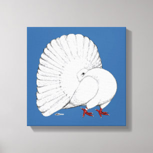 Toile Fantail Pigeon White