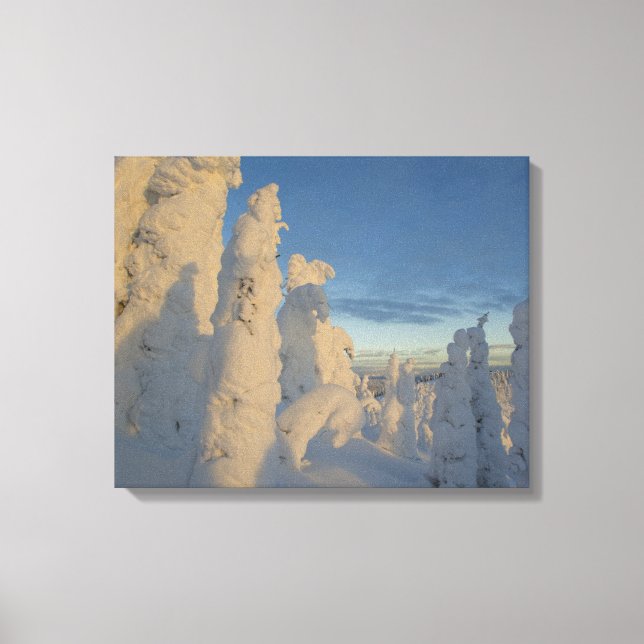 Toile Fantômes de neige au coucher du soleil à Whitefish (Recto)