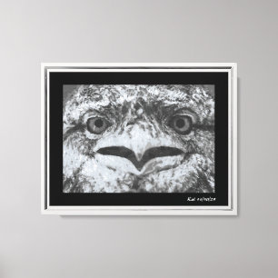 Toile Faune australien, le grincheux de la nature, anima