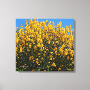 Toile Faux Indigo jaune / Indigo sauvage / Herbe