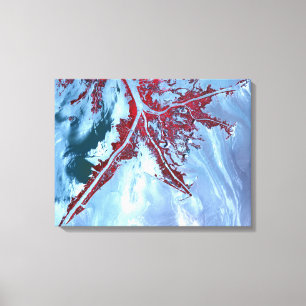 Toile Faux satellite