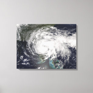 Toile Fée tropicale 4 de tempête