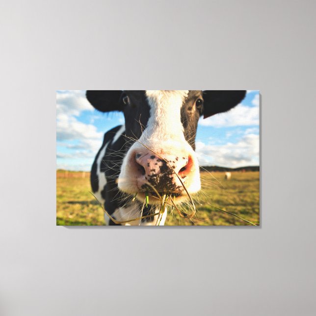 Toile Fermes | Vache Holstein Chewing (Recto)