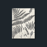 Toile Fermes vintages<br><div class="desc">Vintage Fern Study IV par Vision Studio. Il dispose de fougères vintages contre un arrière - plan d'apparence antique.</div>