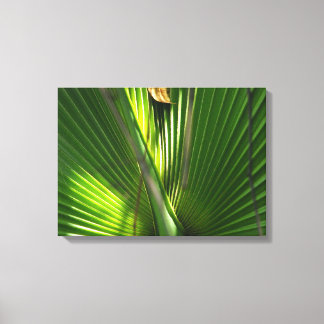 Toile Fermeture photo de la scie Palmetto