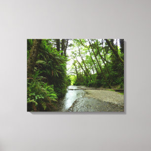 Toile Fern Canyon II au Parc national de Redwood