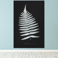 Fern - Gymnogramma Villosa - Effet de rayons X - 0