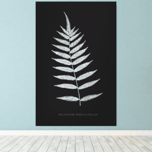 Toile Ferne - Polypodyum Fraxinifolium - Effet de rayons