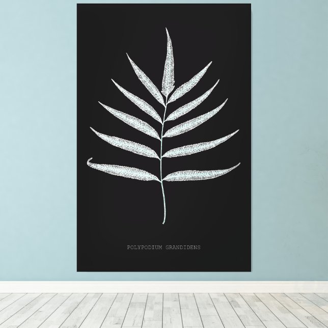 Toile Ferne - Polypodyum Grandidens - Effet de rayons X  (Insitu (Plancher de Bois))