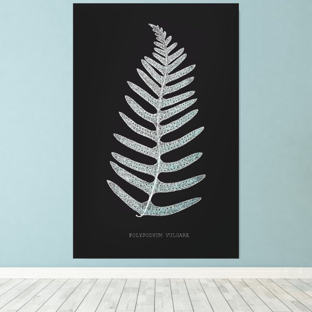 Toile Ferne - Polypodyum Vulgare - Effet X - 09 (Insitu (Plancher de Bois))