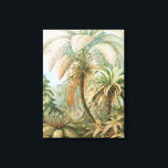 Toile Ferns, Filicinae Laubfarne par Ernst Haeckel<br><div class="desc">Ferns,  Filicinae Laubfarne par Ernst Haeckel Canvas Imprimer</div>