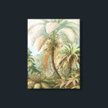 Toile Ferns, Filicinae Laubfarne par Ernst Haeckel<br><div class="desc">Ferns,  Filicinae Laubfarne par Ernst Haeckel Canvas Imprimer</div>