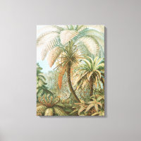 Ferns, Filicinae Laubfarne par Ernst Haeckel