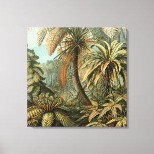 Toile Ferns Palm Tree Antiquité Botanique Ferns Art
