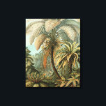 Toile Ferns Palm Tree Antiquité Botanique Ferns Art<br><div class="desc">Impression botanique vintage de fougères tropicales Cette impression est de Filicinae (Ferns), d'Ernst Haeckel tirée d'un livre botanique antique de 1904. L'ancienne estampe botanique est la 92ème plaque de Kunstformen der Natur (Art Forms of Nature), qui présente des fougères élaborées. La 92ème assiette de "Kunstformen der Natur" d'Ernst Haeckel représente...</div>