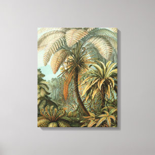 Toile Ferns Palm Tree Antiquité Botanique Ferns Art