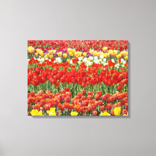 Toile Festival de Tulipes Champ Coloré de Tulipes Beaux-