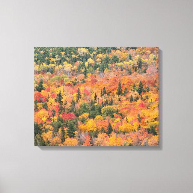 Toile Feuillage d'automne | Péninsule de Keweenaw, Michi (Recto)