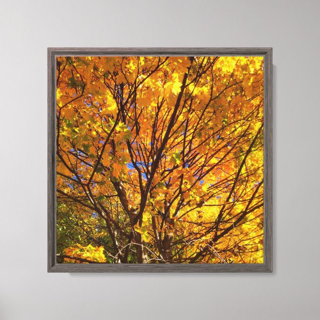 Toile Feuillage jaune d'automne (Recto)