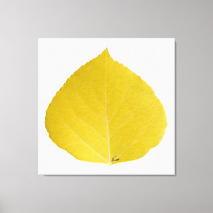 Toile Feuille d'Aspen jaune #5