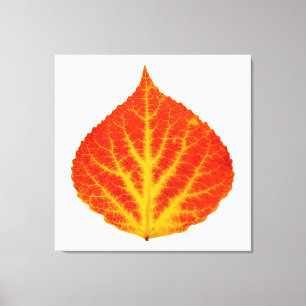 Toile Feuille d'Aspen rouge et jaune #10