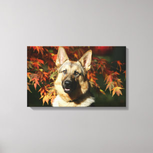 Toile Feuille d'automne de berger allemand