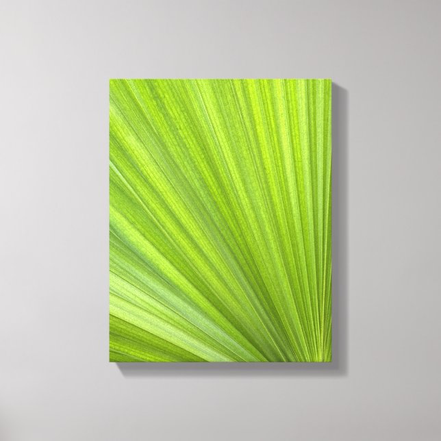 Toile Feuille de palmier vert tropical (Recto)