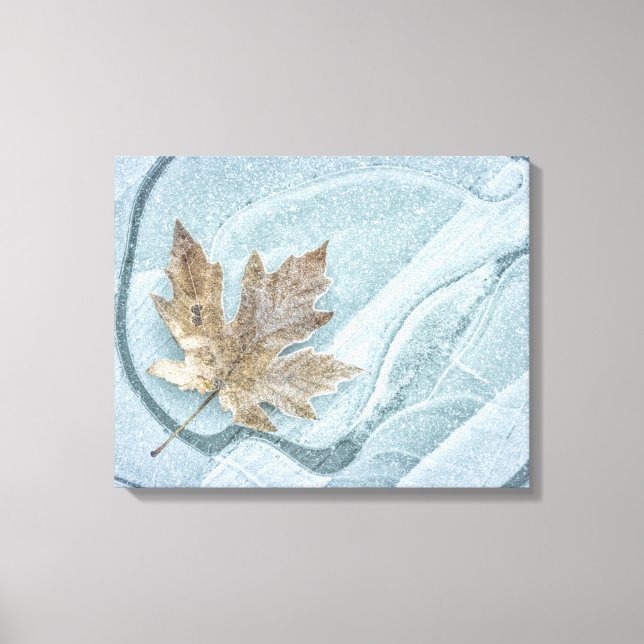 Toile Feuille d'érable gelée sur de la glace (Recto)