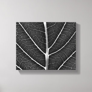 Toile Feuille lumineuse noir et blanc en gros plan