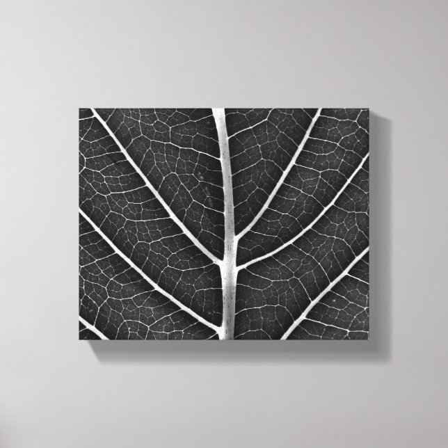 Toile Feuille lumineuse noir et blanc en gros plan (Recto)