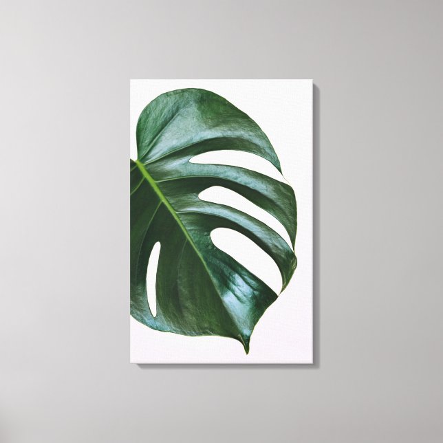Toile Feuille tropicale Monstera (Recto)