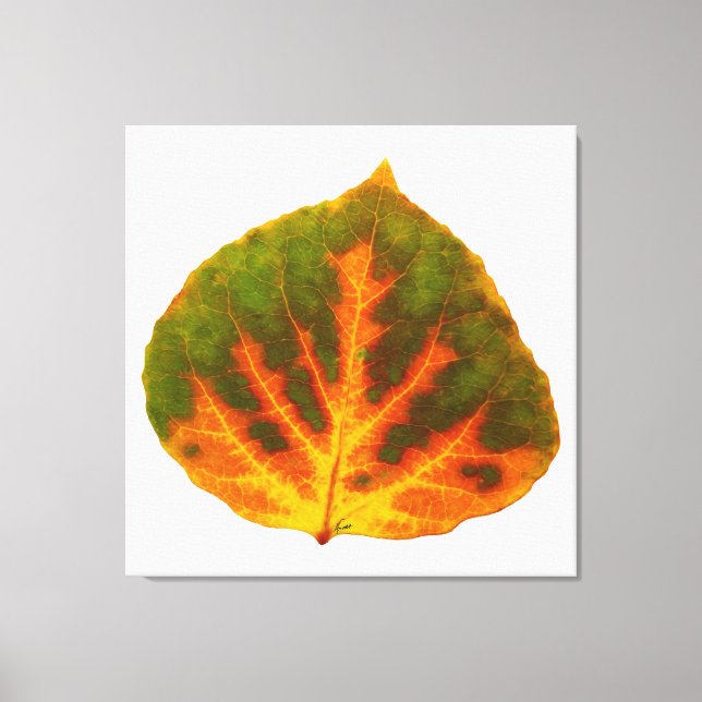 Toile Feuille vert orange et jaune d'Aspen #1 (Recto)