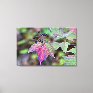Toile Feuilles d'automne du Viburnum Mapleleaf et baies