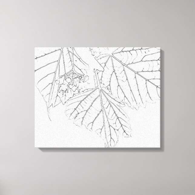 Toile Feuilles de Basswood (Recto)