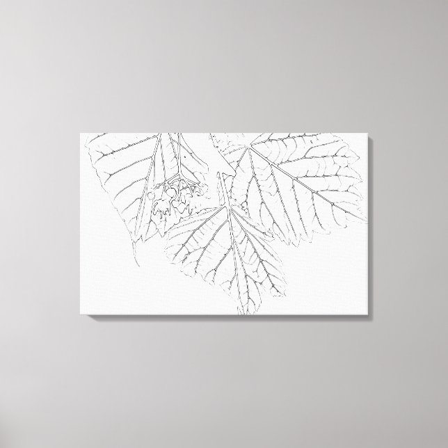 Toile Feuilles de Basswood (Recto)