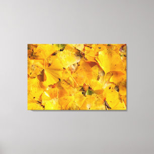 Toile Feuilles de Ginkgo Biloba