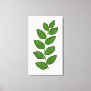 Toile Feuilles de laurier vert modernes