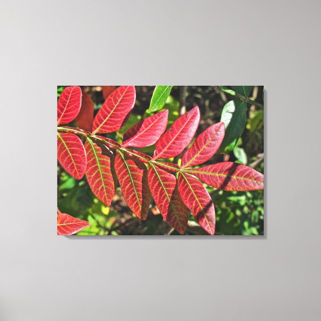 Toile Feuilles De Sumac À L'Automne (Recto)