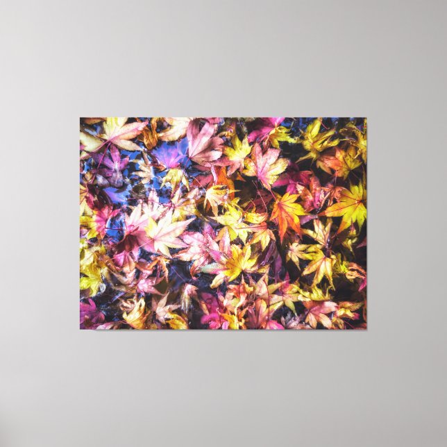 Toile Feuilles d'érable d'automne colorés dans l'eau (Recto)